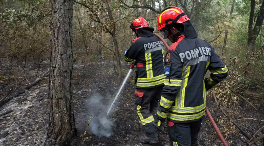 Ko je izostavljen iz zahvalnice JP “Vojvodinašuma”? Gasili požare rame uz rame sa Srbima, ali njih nema na spisku