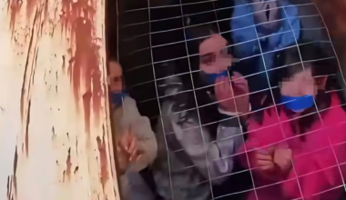 MEĐUNARODNI PODVIG BEZBEDNOSNIH SLUŽBI: 163 dece spašeno iz kriminalnih mreža širom sveta tokom akcije organizovane na Floridi! (VIDEO)