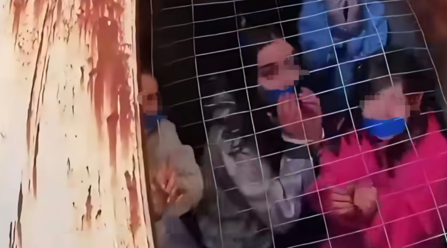 MEĐUNARODNI PODVIG BEZBEDNOSNIH SLUŽBI: 163 dece spašeno iz kriminalnih mreža širom sveta tokom akcije organizovane na Floridi! (VIDEO)