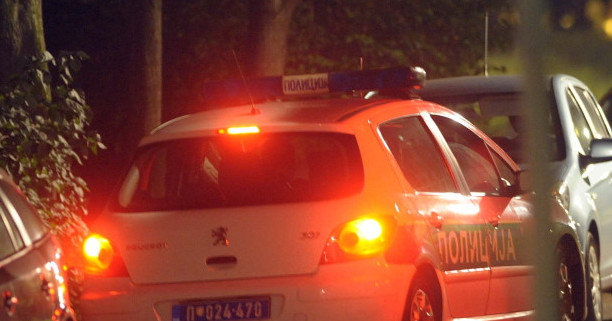 Nesreća kod Negotina: BMW nakon udara u srnu sleteo s puta, žena stradala