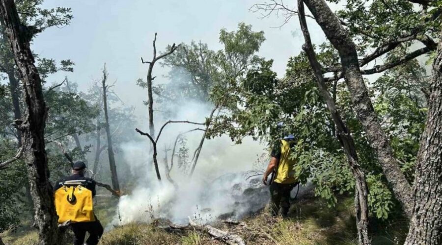 POŽAR JOŠ NIJE LOKALIZOVAN: Nastavlja se borba sa vatrenom stihijom na Stolovima (FOTO)