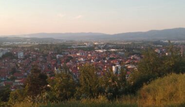 Peti tretman odraslih formi komaraca u Leskovcu