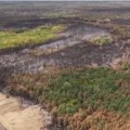 Požar u Deliblatskoj peščari pod kontrolom! Vatrogasci iz Rumunije, Nemačke i Mađarske pomažu u gašenju: Aktivan požar u selu…
