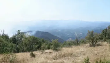 Požari i dalje širom Srbije: Mađarska šalje pomoć, nova žarišta na Goču