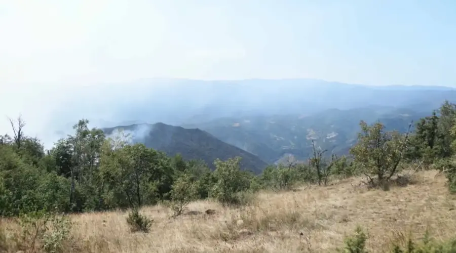 Požari i dalje širom Srbije: Mađarska šalje pomoć, nova žarišta na Goču