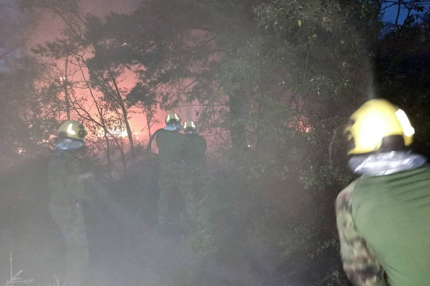 Požari u Srbiji: Novo žarište kod Magliča, lokalizovana vatra u blizini Kladova | Srpska dijaspora