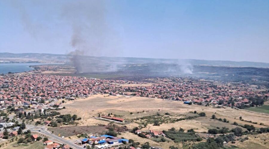 Požari u Srbiji: Vatrogasci neprekidno dežuraju u Deliblatskoj peščari, ponovo gori u okolini Kladova | Srpska dijaspora