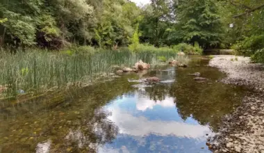 Promenljivo vreme uz pljuskove i grmljavinu, na jugu Banata olujni vetar