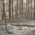 RHMZ izdao upozorenje za Deliblatsku pešaru: Nepovoljni meteorološki uslovi sa aspekta širenja požara