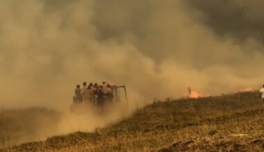 SRBIJA GORI, A VLAST SE ČEŠLJA: Vlada Srbije ne želi pomoć iz Evrope za gašenje požara, tvrdi da možemo sami!