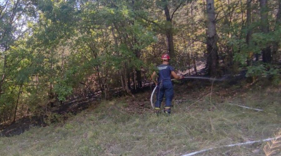 STIHIJA POD KONTROLOM: Na Stolovima kod Kraljeva aktivno jedno žarište