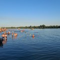 Sunčano i još toplije u Sremskoj Mitrovici: Danas do 35 stepeni, u petak još veća vrućina