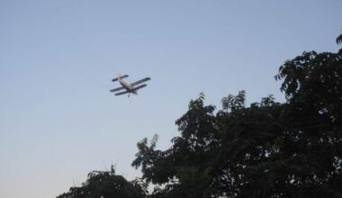 Sutra suzbijanje komaraca i krpelja u Požarevcu