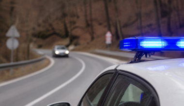 Tragedija kod Negotina: BMW udario u srnu, žena (85) poginula