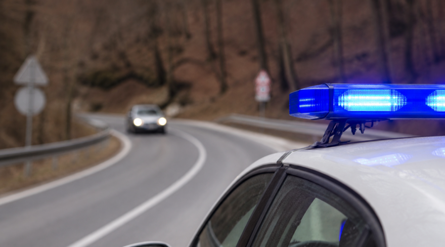 Tragedija kod Negotina: BMW udario u srnu, žena (85) poginula
