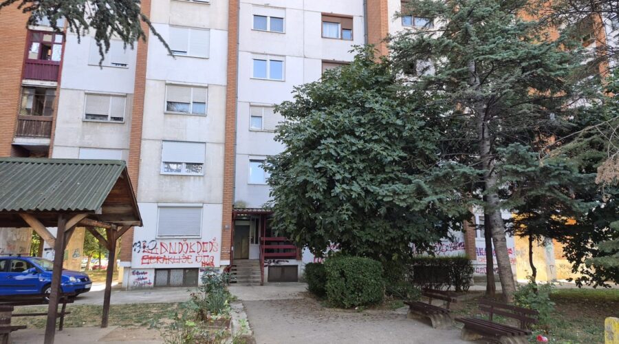 Tragedija u Nišu: Tela majke i sina pronađena u stanu, oglasile se komšije: “Danima se osećao neprijatan miris u zgradi” (foto)