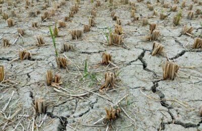 U Sijenici proglašena vanredna situacija zbog dugotrajne suše