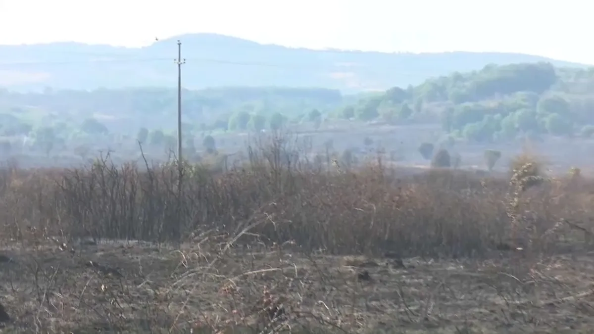 Vatrogasci se bore sa požarima i u Kladovu, u delovima opštine vanredna situacija