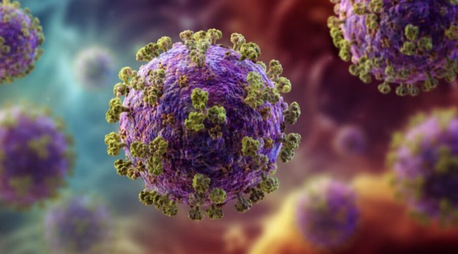 Virus Zapadnog Nila u Severnoj Makedoniji odneo pet života