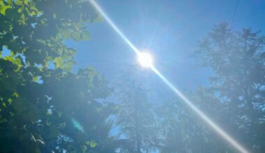 Vremenska prognoza: Danas veoma toplo i vetrovito, temperatura do 38 stepeni | Srpska dijaspora