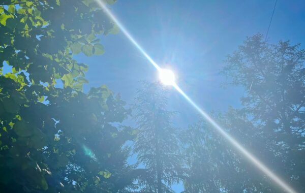 Vremenska prognoza: Danas veoma toplo i vetrovito, temperatura do 38 stepeni | Srpska dijaspora