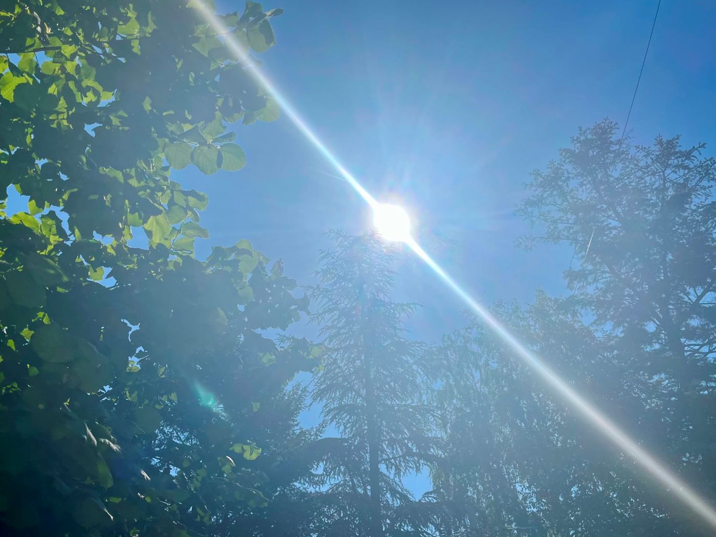 vremenska-prognoza:-danas-veoma-toplo-i-vetrovito,-temperatura-do-38-stepeni vremenska-prognoza:-danas-veoma-toplo-i-vetrovito,-temperatura-do-38-stepeni