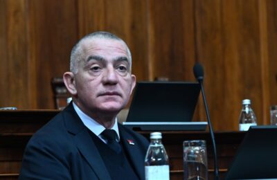 Vujić: O mestu sahrane Ratka Mladića će odlučiti porodica