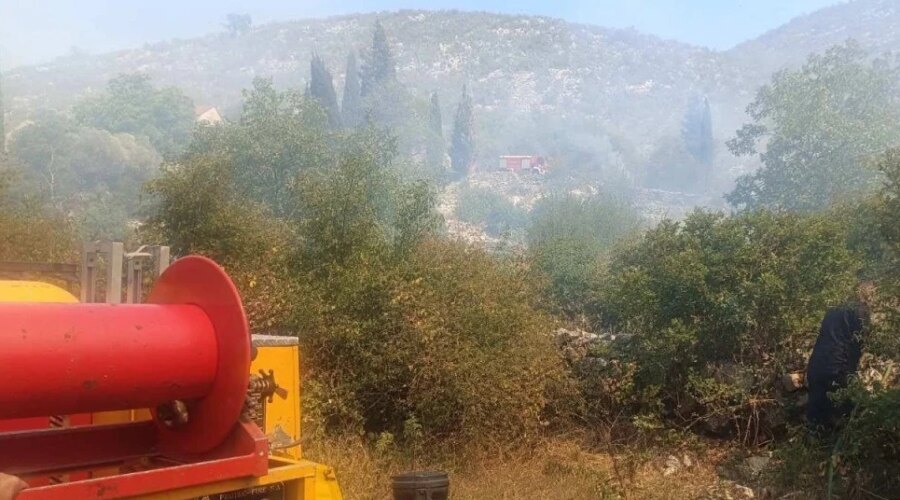 Požari u regionu: U Severnoj Makedoniji registrovano skoro 1.700 požara, u Crnoj Gori i Republici Srpskoj angažovana avijacija