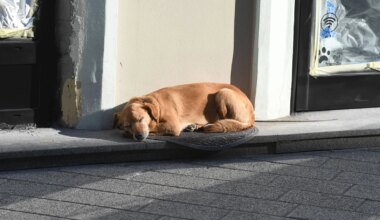 Vreme danas pretežno sunčano i toplo