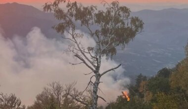 Požari na Stolovima i Goču pod kontrolom: Vatrogasci i helikopterske ekipe uklanjaju poslednja žarišta
