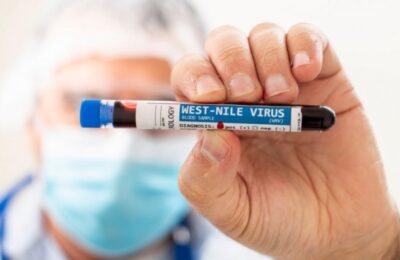 Virus Zapadnog Nila se širi Srbijom, većina obolelih sa teškim simptomima