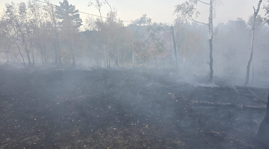 Ugašeni požari na Stolovima i na Goču: Akcija prošla bez povređenih, odbranjena sela