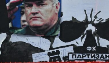 Komesar Saveta Evrope za ljudska prava osudio javno veličanje Ratka Mladića