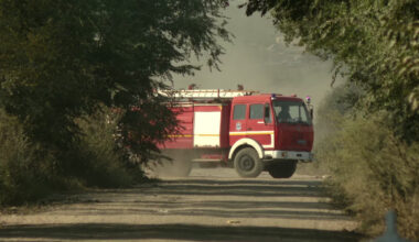 Borba sa požarima na Suvoj planini: Gašenje otežavaju nepristupačan teren i jak vetar