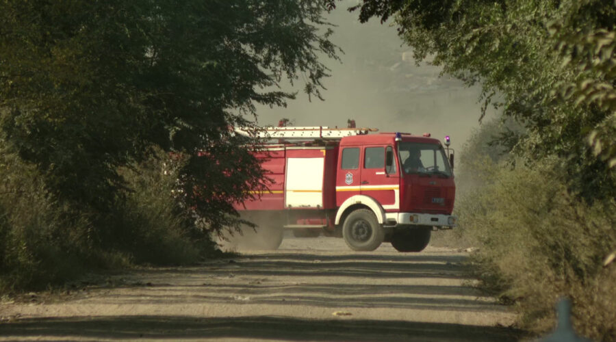 Borba sa požarima na Suvoj planini: Gašenje otežavaju nepristupačan teren i jak vetar