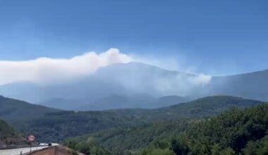Borba sa vatrenom stihijom na Suvoj planini – gori najviši vrh, na terenu više od 100 ljudi, požar gasi i “iljušin”