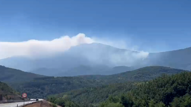 Borba sa vatrenom stihijom na Suvoj planini – gori najviši vrh, na terenu više od 100 ljudi, požar gasi i “iljušin”
