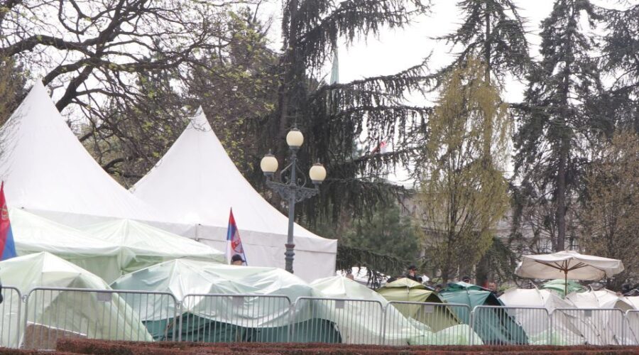 Godinu i po dana Ćacilenda: Kako je zaštićeni spomenik prirode pretvoren u kamp pristalica vlasti