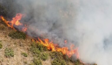 Požar na Suvoj planini i dalje bukti: Vatra se širi sa obe strane planinskog venca