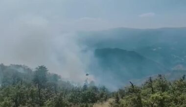Požar se i dalje širi Suvom planinom