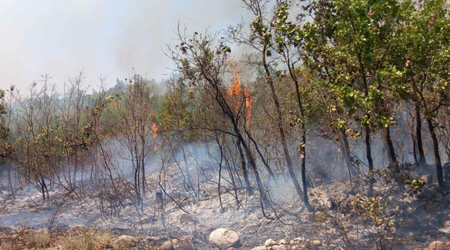 Dim prekrio Suvu planinu: Požar i dalje aktivan na nepristupačnom terenu