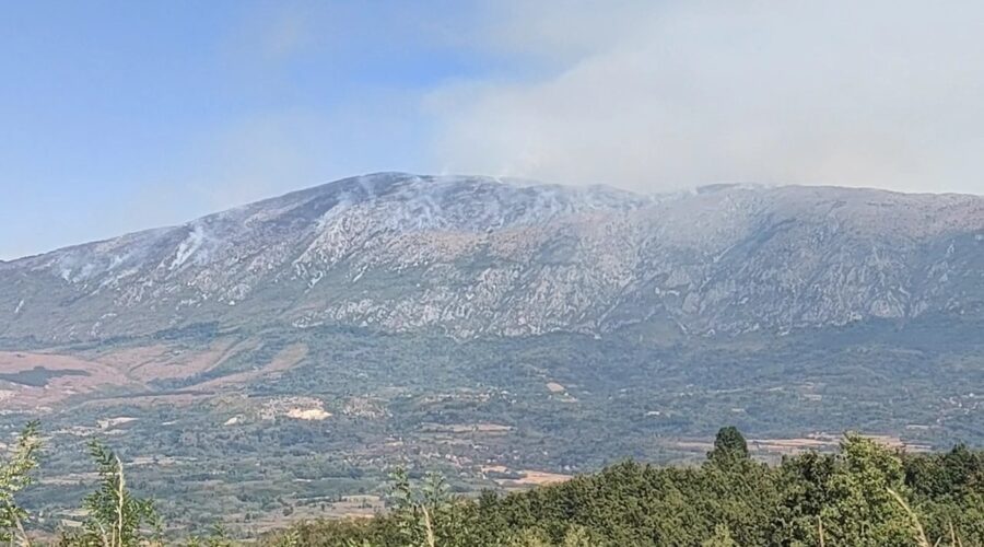 Požar na Suvoj planini i dalje aktivan, u toku je akcija gašenja iz vazduha