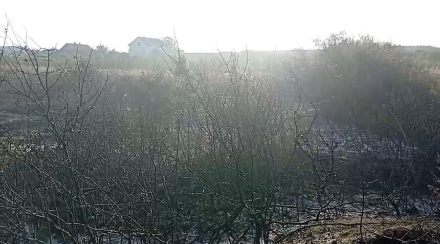 Požar u naselju Slavka Zlatanovića ugašen posle šest sati: Izgoreli voćnjaci, vatra stigla na desetak metara od kuća – VIDEO