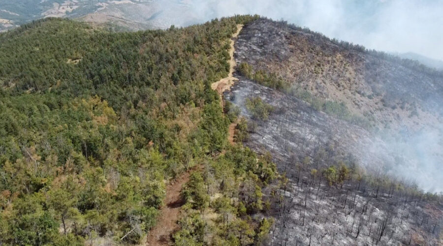 Aktivno više od 30 požara u Srbiji: Gori na Suvoj planini, razbuktala se vatra i u Deliblatskoj peščari