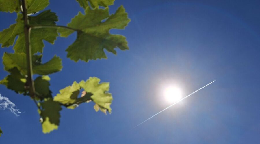 RHMZ: Upozorenje za područje Srbije na visoke temperature