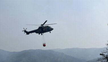 Suva planina i dalje gori, jak vetar razbuktao požar u Deliblatskoj peščari