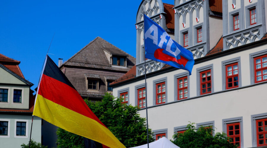 Analiza pokazala: AfD profitirao od nezadovoljstva saveznom vladom u Saksoniji-Anhaltu