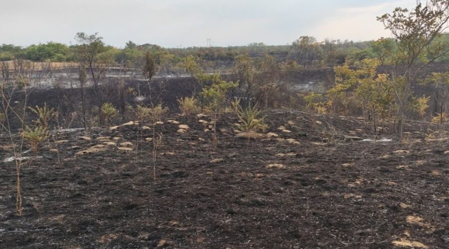 Aktuelni požari na Suvoj planini, u Kragujevcu i Pančevu