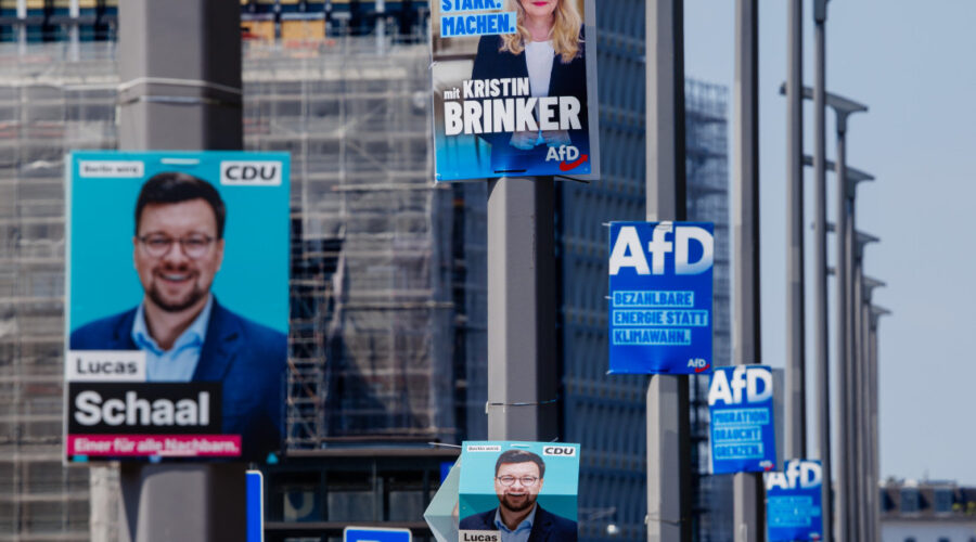 Rekordni rezultat AfD-a: Presudne teme nisu bile one na koje se stranka najviše oslanja