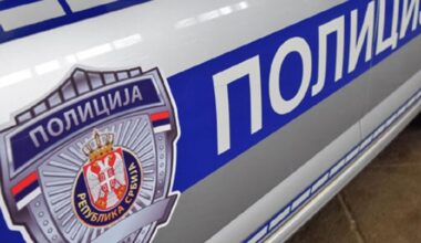 Još jedan konj stradao u udesu kod Niša: Krdo od oko 30 konja kreće se bez nadzora